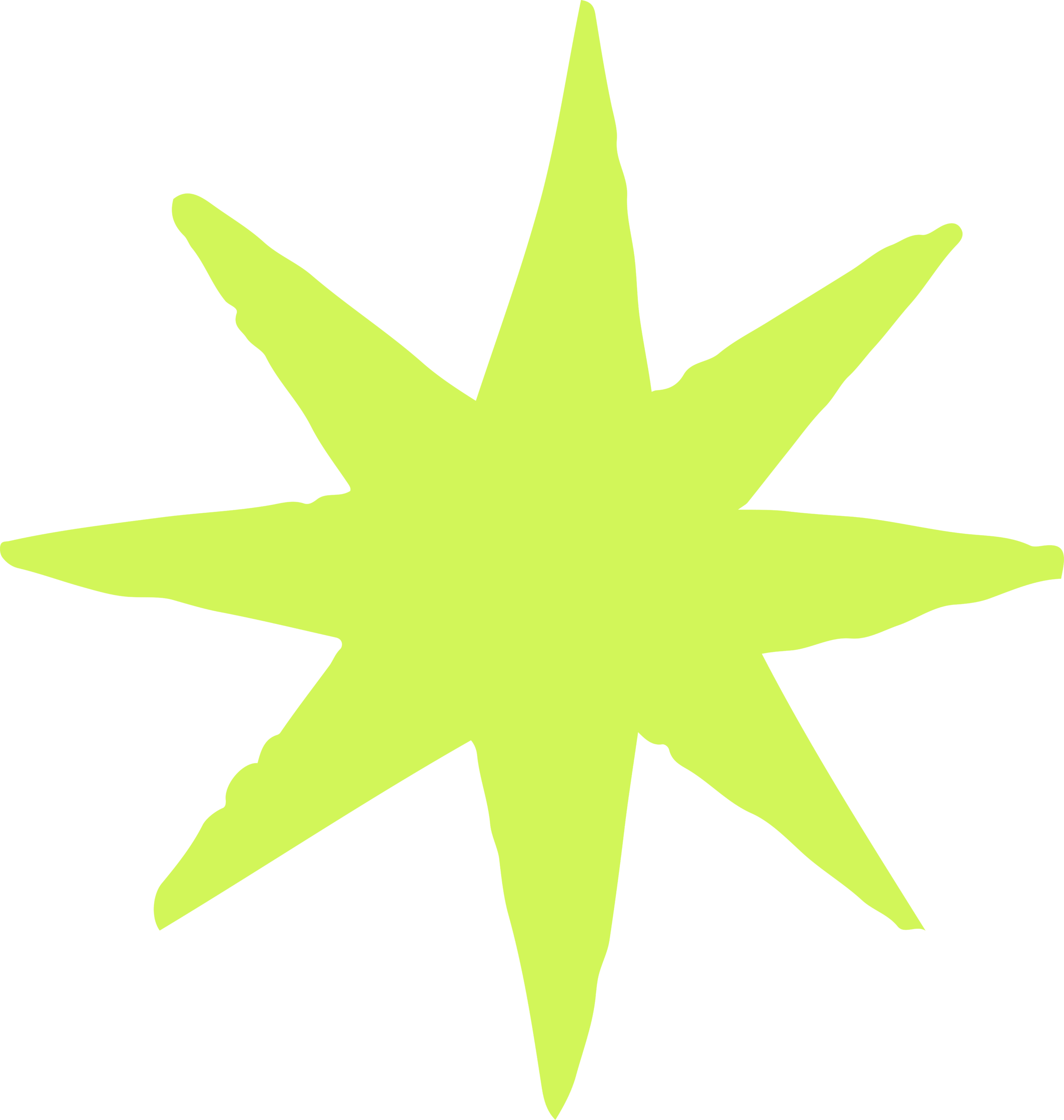 Estrella Decorativa
